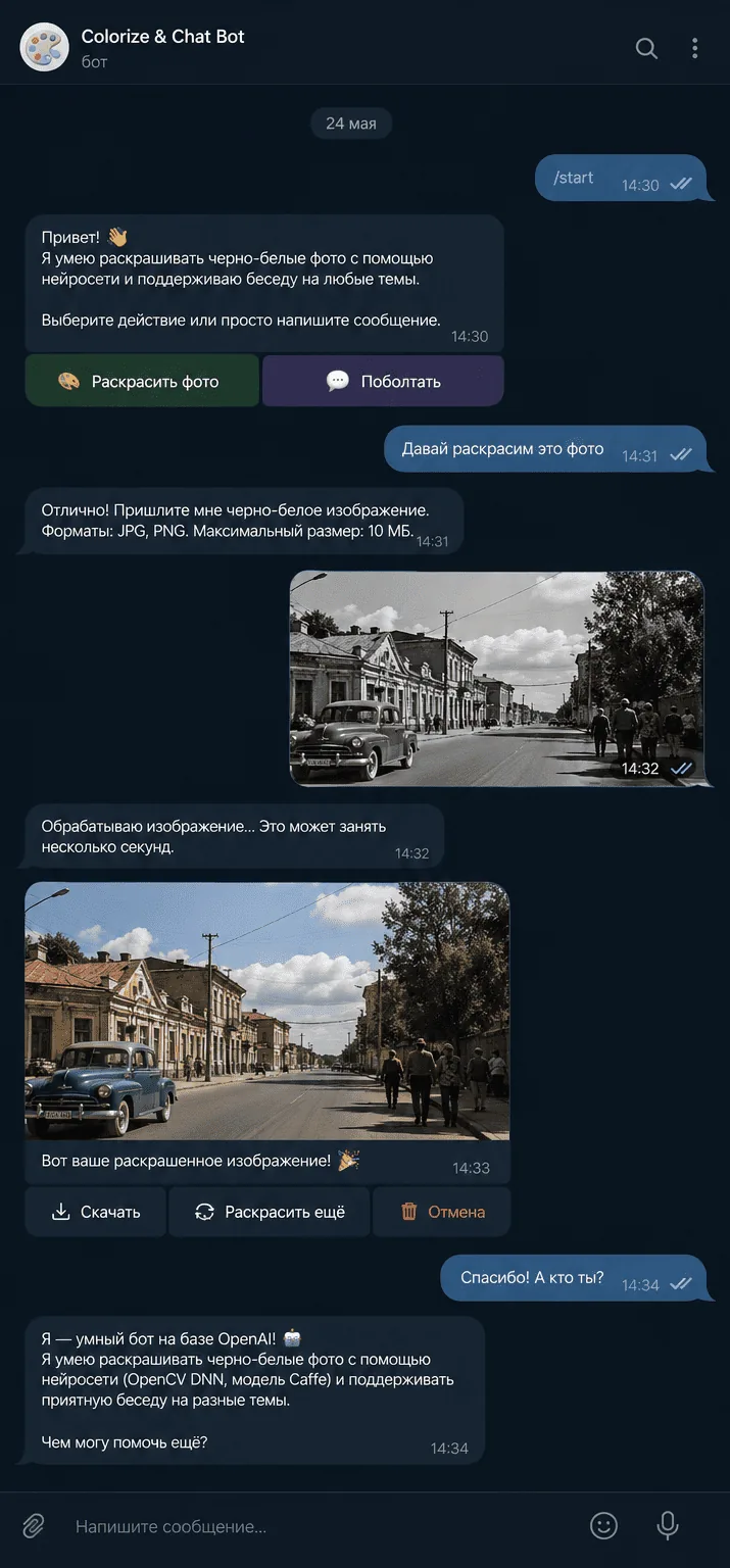 Превью проекта «Бот AI раскрашивания фото»